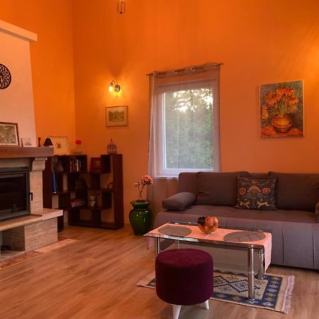 Patrick House Villa Tivat Dış mekan fotoğraf