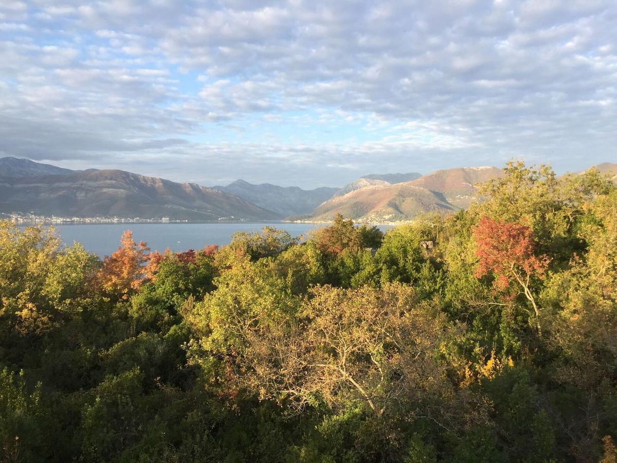 Patrick House Villa Tivat Dış mekan fotoğraf